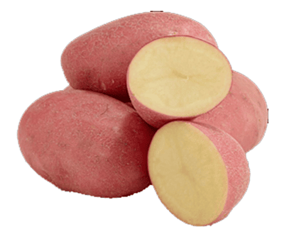 Potato Red Potato Red