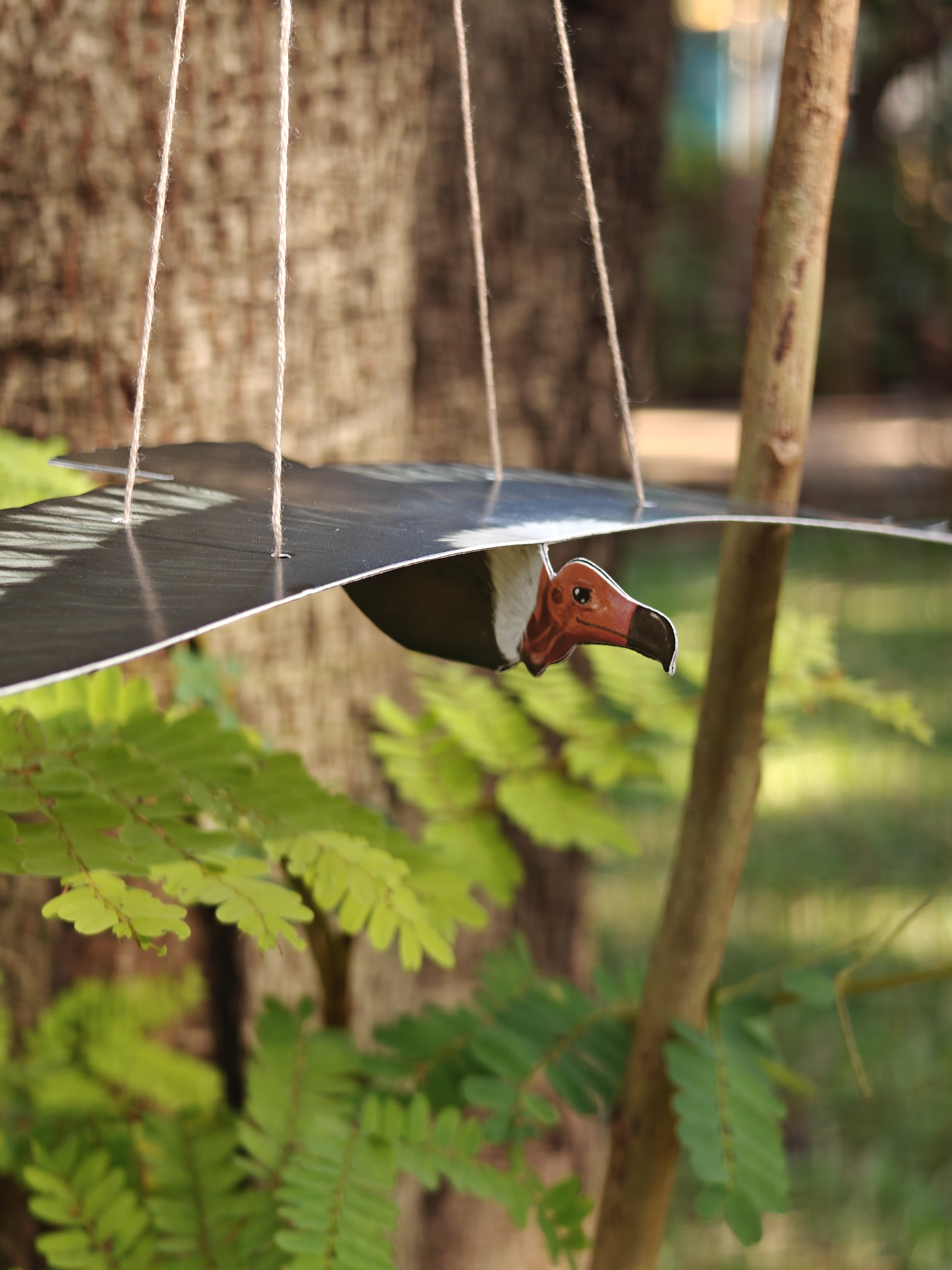 Vulture DIY Paper Kit – Set of 3 Hand-Illustrated Flying Vultures