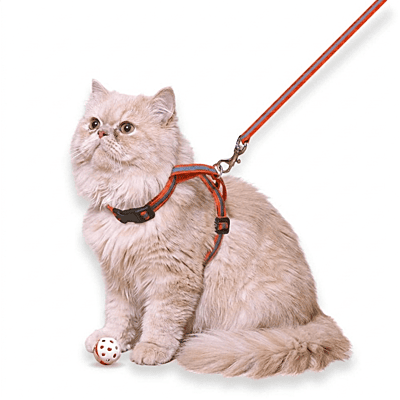 Reflective Cat Harness with Leash Set