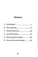 Reincarnation And Immortality