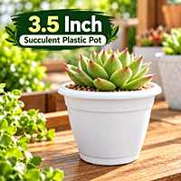 3.5 Inch Succulent Plastic Pot | ECSHA