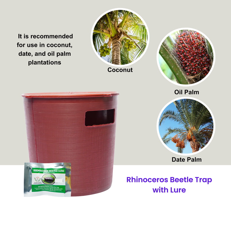Rhinoceros Beetle Trap with Lure