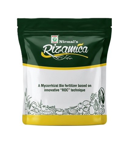RIZAMICA by Nirmal Seeds