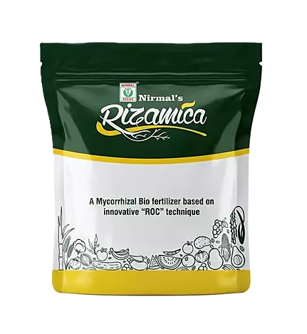RIZAMICA by Nirmal Seeds