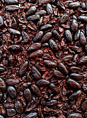 Roasted Cacao Nibs