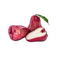 Rose Apple – Fragrant, Juicy & Naturally Refreshing
