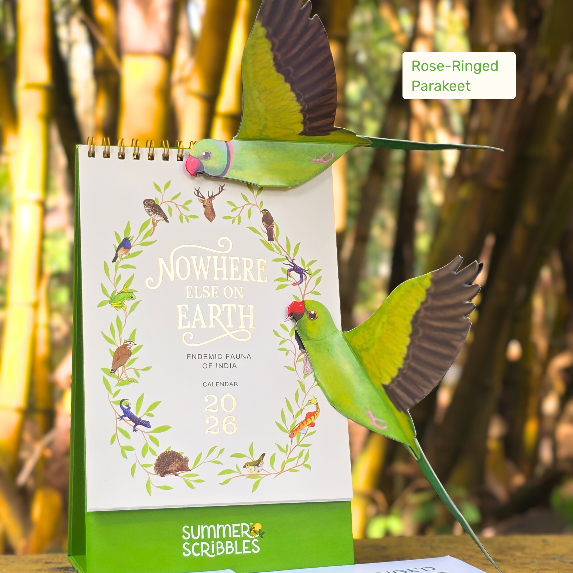 Combo of 2026 Calendar + Parakeet DIY kit