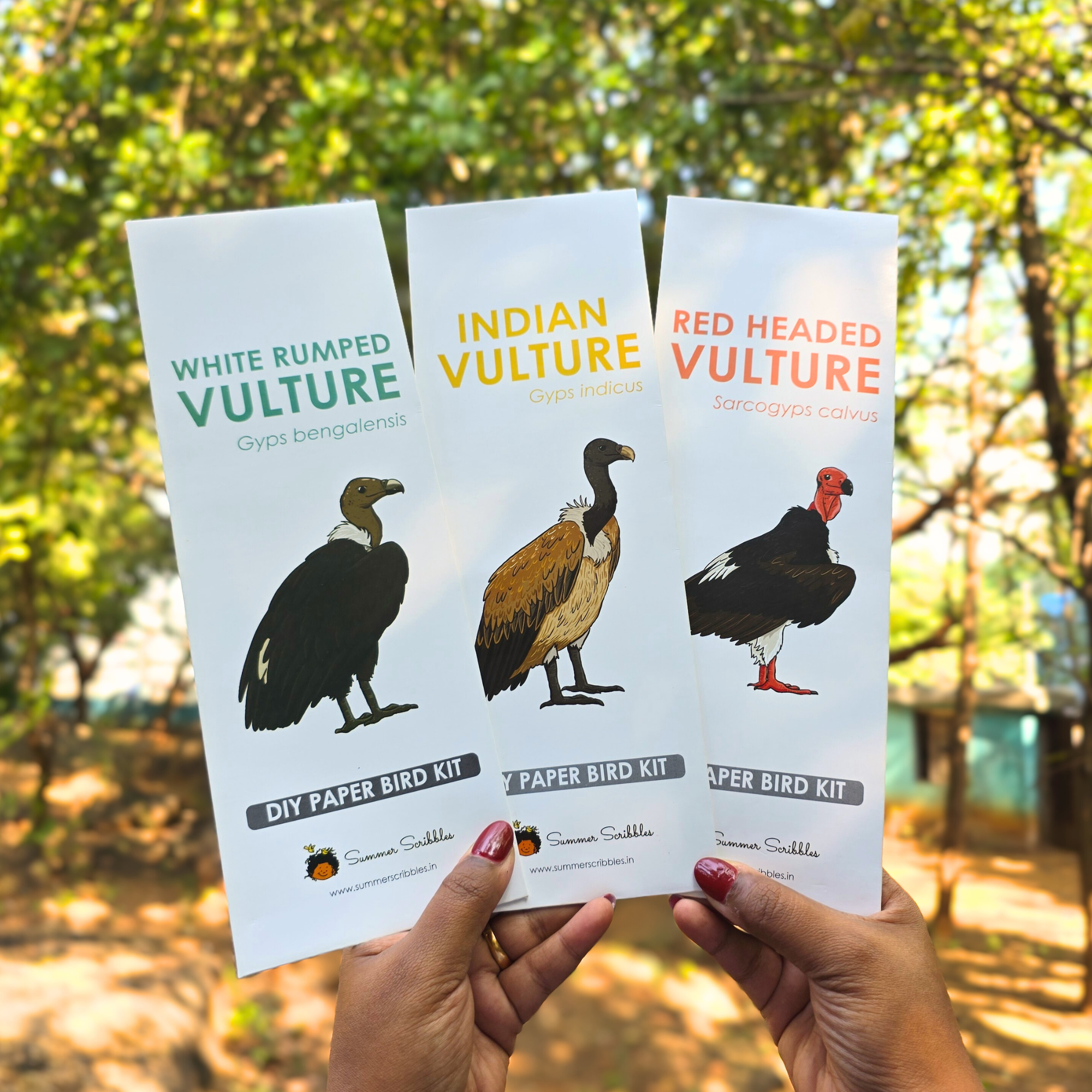 Vulture DIY Paper Kit – Set of 3 Hand-Illustrated Flying Vultures