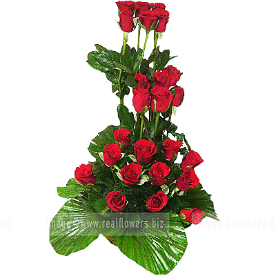 Roses Forever
