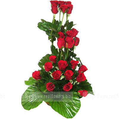 Roses Forever Roses Forever