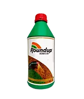 RoundUp
