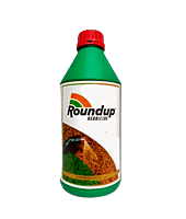 RoundUp