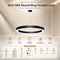 Round Ring LED Ceiling Light (Black)
