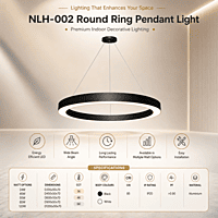 Round Ring LED Ceiling Light (Black)