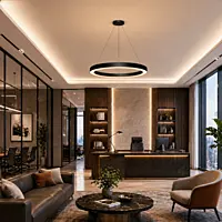 Round Ring LED Ceiling Light (Black)