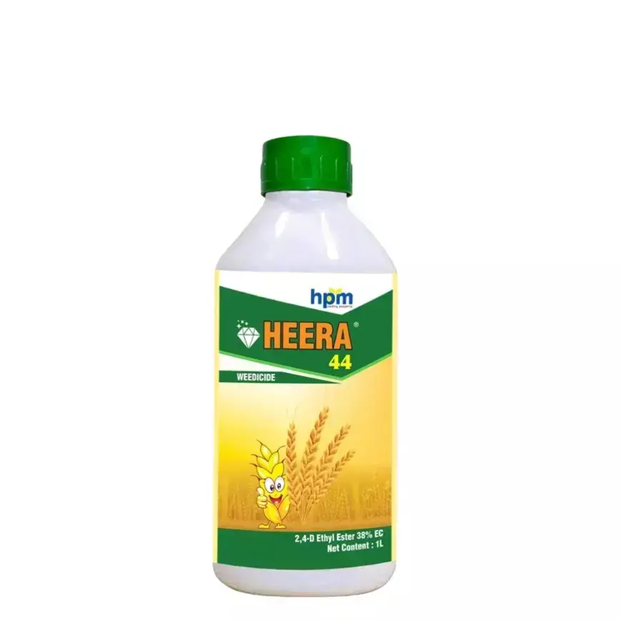 Heera-44 -(HPM)