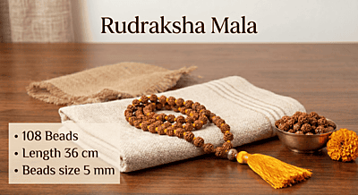 Rudraksha Mala 108 Beads, Length 36 cm, Beads size 5 mm
