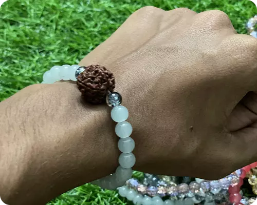 Divine White Rudraksha