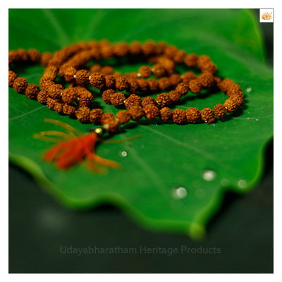 Special 108 Rudraksha mala-Smal-