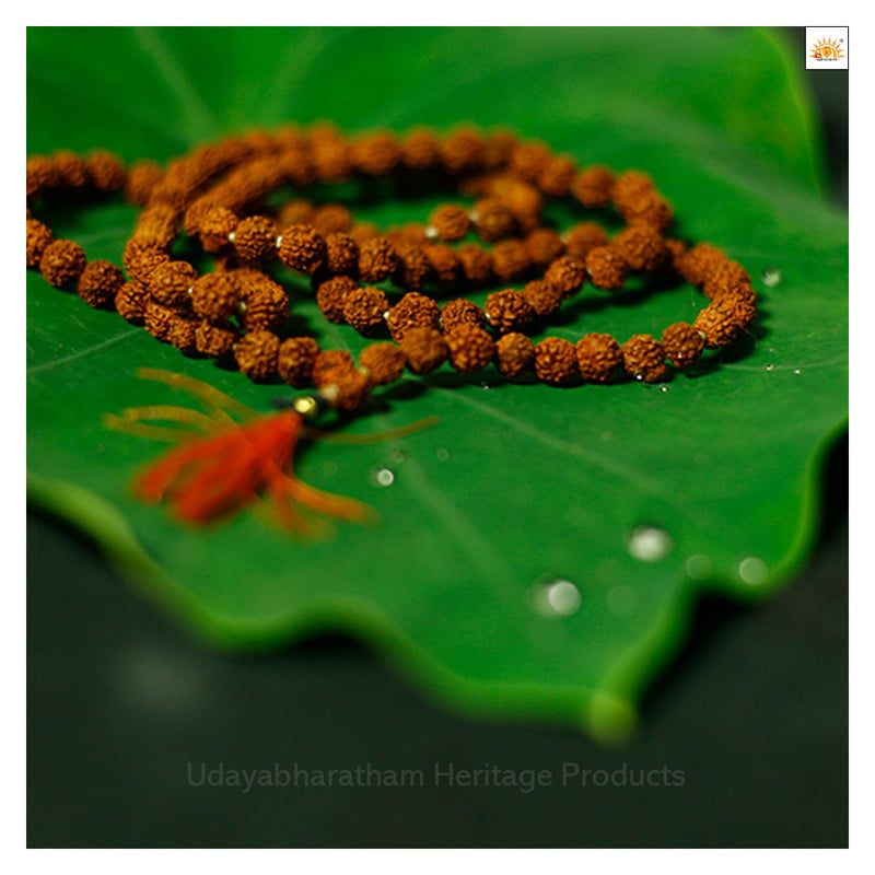 Special 108 Rudraksha mala-Smal-