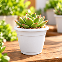 3 Inch Succulent Plastic Pot | ECSHA