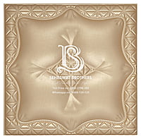 3D Leather Panels SB3DLWP1110