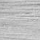 Shera Planks ( Uncoloured )