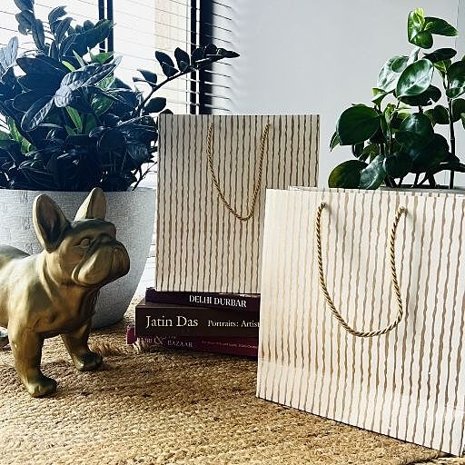 SET OF 2 MEDIUM STRIPE BAGS