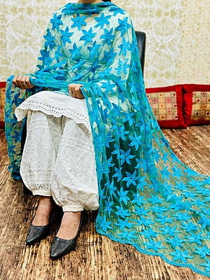 Chikankari Afghani Dupatta Set-Blue