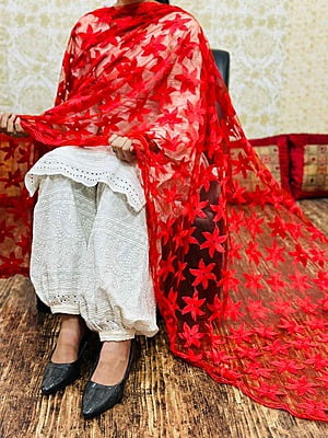 Chikankari Afghani Dupatta Set-Red