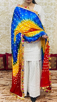 Chikankari Sharara Shaded Bandhani Dupatta Set-White-3