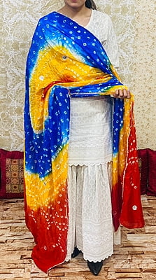 Chikankari Sharara Shaded Bandhani Dupatta Set-White-4