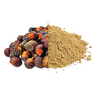 Soap Nut Powder