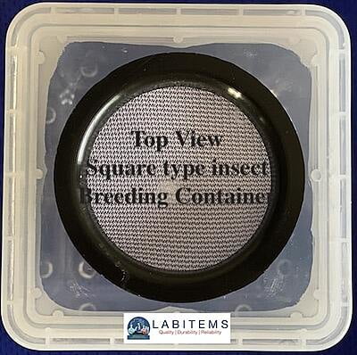Insect Breeding Dishes -Rectangular Container
