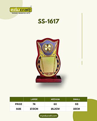 SS-1617L 17.50CM 12%