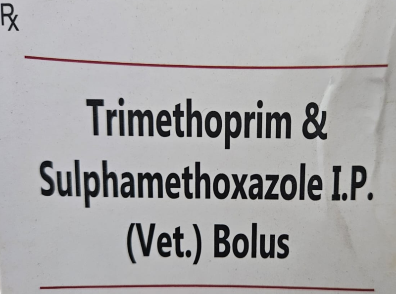 SULPHAMETHOXAZOLE & TRIMETHOPRIM BOLUS 4s