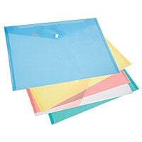 SVS Clear Button Bag