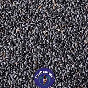 Sabja Seeds Sabja Seeds