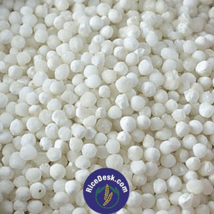 Sabudana (Big) | Saggubiyyam Sabudana (Big) | Saggubiyyam