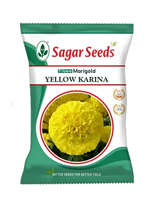Sagar Marigold Yellow Karina Seeds - 1000 nos