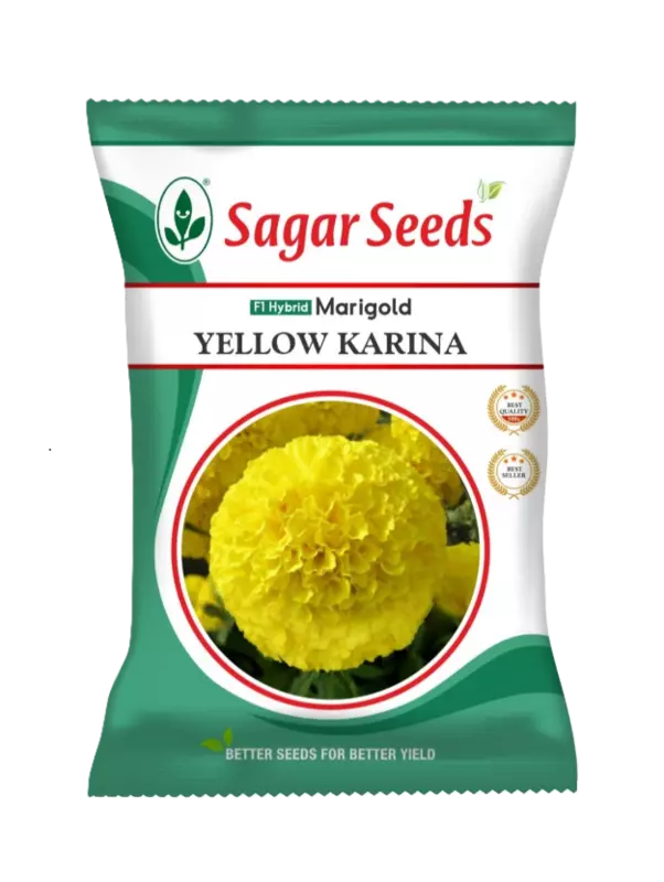 Sagar Marigold Yellow Karina Seeds - 1000 nos