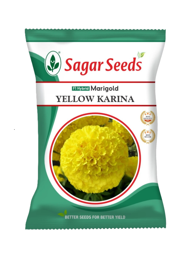 Sagar Marigold Yellow Karina Seeds - 1000 nos