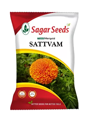 Sagar Marigold Satvam Flower Seeds - 1000 nos