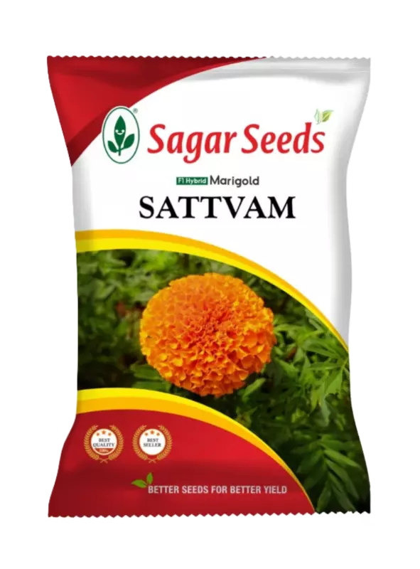 Sagar Marigold Satvam Flower Seeds - 1000 nos