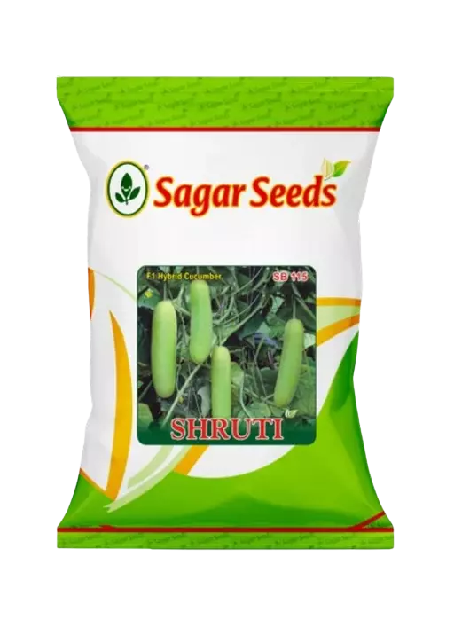 Sagar Cucumber Shruti F1 Hybrid Seeds - 25 gm