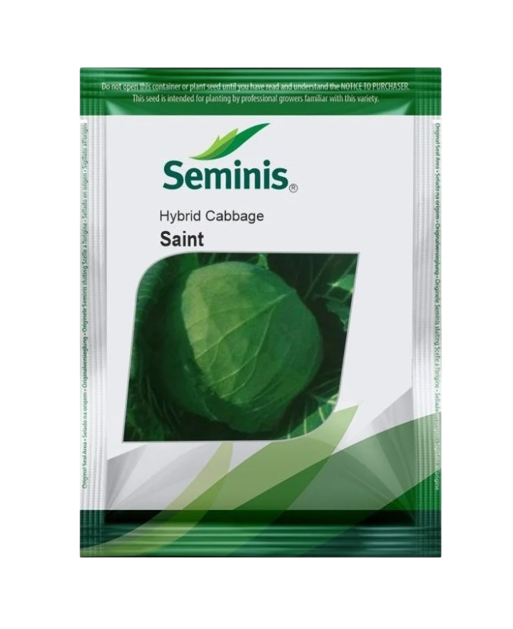 Hybrid Cabbage Saint by BAYER Seminis