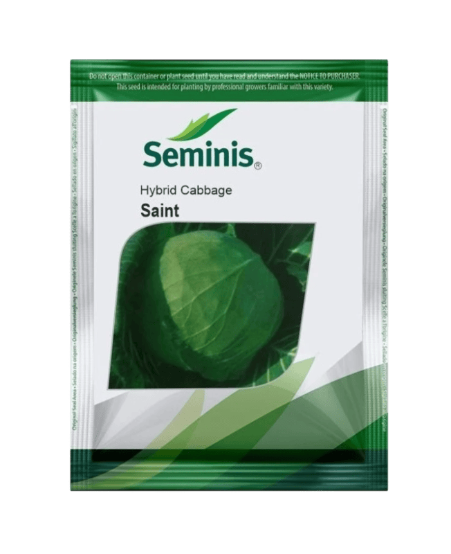 Hybrid Cabbage Saint by BAYER Seminis