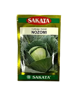 Cabbage Nazomi by Sakata Seeds