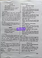 TRB-TNTET-THAL 1-(Tamil)2025