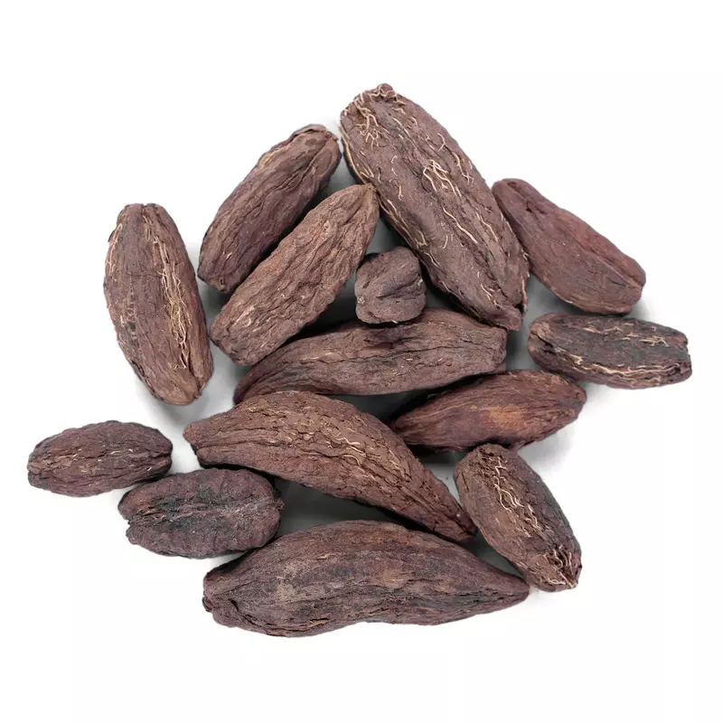 Samander Phal - Nanjina Kaayi -Samuder Fal - Barringtonia Acutangula